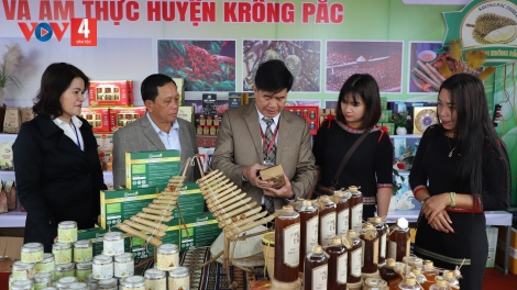 HỘI TRẠI CÀ PHÊ ĐHỊ ĐỒN ĐIỀN CÀ PHÊ TR’NƠỢP COH TÂY NGUYÊN