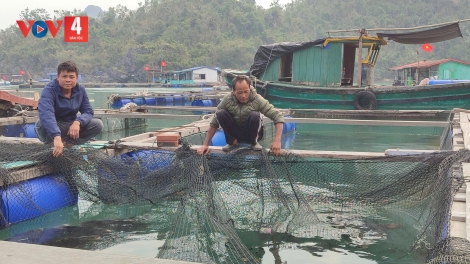 QUẢNG NINH TẢY NẢI KHÁM QUÁ BẠI DƯỞNG KHỎ CHANG VIỂC AU CHỈA CHỈN HẨƯ LIỆNG PJA CỦNG DÚ TỀNH PÉ HẢI