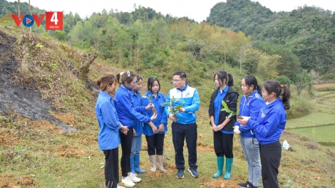 SLE SLẮM ÓN DÚ BẢN HẾT KIN