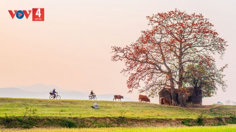 Giọng hát Quan họ NSUT XUÂN TRƯỜNG