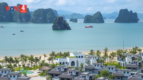 BẠI TỈ LỈN LIỂU DƯƠNG CHỒM CHĂN ĐÂY CHANG SLÌ MỒM DÚ BÚNG PÉ HẢI QUẢNG NINH