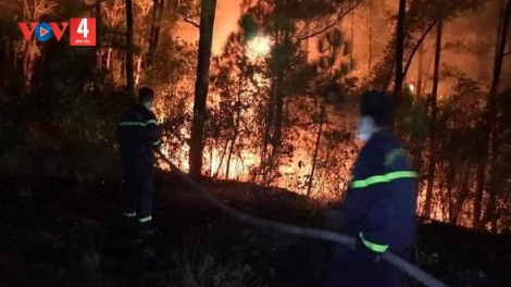 HUẾ CHA MÊỆT LÊY GHIT LIÊM LÂH 70 R’BHẦU HECTA CRÂNG BUÔN ROOH