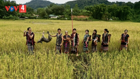 T'RUIH PA XƯL P'RA CƠ TU THỨ 5 T'NGAY 26/6/2025