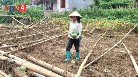 BẮC KẠN: PỈ NOỌNG TÁNG CHƯỚNG CHỎI TẺO NÀ RẨY LĂNG XÁ PHÂN CẢI NẶM NOÒNG