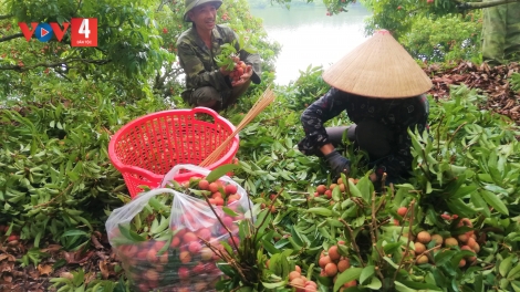 DƯƠNG CHỒM SLÌ MÁC PÁI SLÚC DÚ SLẢNH BẮC GIANG