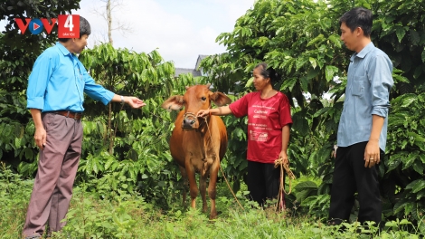 SLẢNH ĐẮK NÔNG HẾT ĐẢY LAI VIỂC ĐÂY CHANG TẢ KHỎ