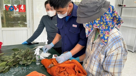 QUẢNG TRỊ: ĐHR’NĂNG TRÔÔNG DẤC A ĐHĂH DZĂM ƠY BƠƠN LIÊM CHOOM LÂH 98%