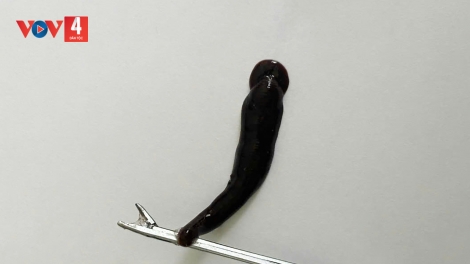 DZOOL TA COOT PAY ĐỈA COH CR’LOỌNG MOH MANƯIH OOY QUẢNG TRỊ