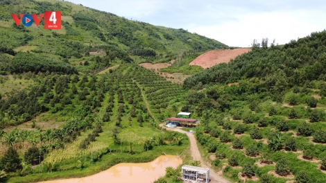 PA DƯR DU LỊCH DA DING CA COONG KHÁNH HÒA 