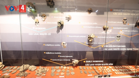 PA LUIH ĐONG P’CĂH LỊCH SỬ TỰ NHIÊN COH PHONG ĐIỀN, TP HUẾ