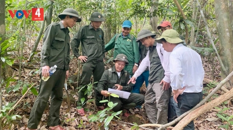 G’NƯM TƠỢ ĐHANUÔR ĐOỌNG ZƯ LÊY CRÂNG LIÊM CHOOM
