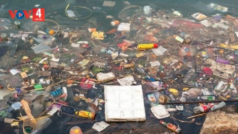 ĐẮK LẮK VÊY MANUYH CHÊỆT TU WHITMORE ĐHỊ EA SÚP