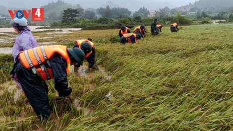 BỘ ĐỘI BIÊN PHÒNG QUẢNG TRỊ, HUẾ ZOOI ĐHANUÔR PA LIÊM ĐỢ RAU ĐHÍ AMUỐT SỐ 10 BHRỢ PA HƯ