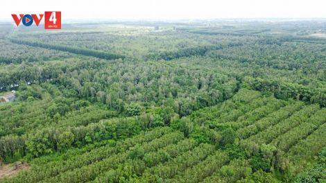 ZR’LỤ DU LỊCH CRÂNG ĐAC MÙA XUÂN - ĐHỊ TƯƠC LA LÊY LIÊM PR’HAY COH CẦN THƠ