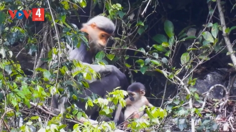 ĐHANUÔR TAM MỸ PA ZƯM TÊY ZƯ LÊY T’NOOI BỌO