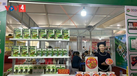 CHƯỚNG BẠI CO CHÈ KÉ SLE LAI CẦN CHẮC CHÈ SHAN TUYẾT THÁI NGUYÊN