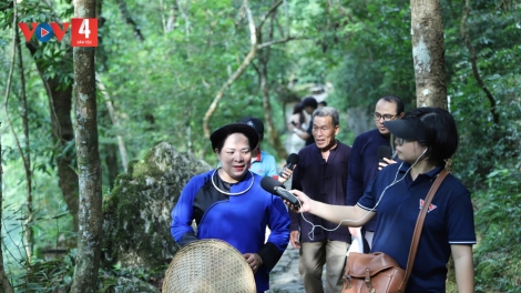 TỨ PÁC BÓ - TÂN TRÀO THÂNG BA ĐÌNH LỊCH SỬ