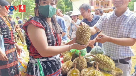 ĐHANUÔR DA DING ĐÀ NẴNG PA DƯR CA VAN ĐƯƠI CHOOM BHRỢ CHA