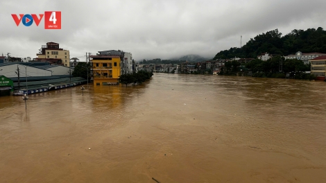 CAO BẰNG: TẶT OÓC BẠI PẢN FÁP MẤƯ SLE TẢNG LÀN BÂN NẢN