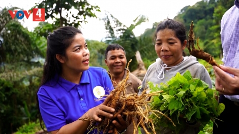 VIẾT TIẾP GIẤC MƠ QUÊ NÚI