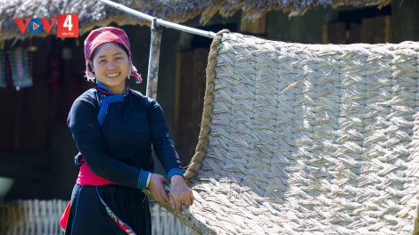 NOỌNG CẦN TỞI MẤƯ