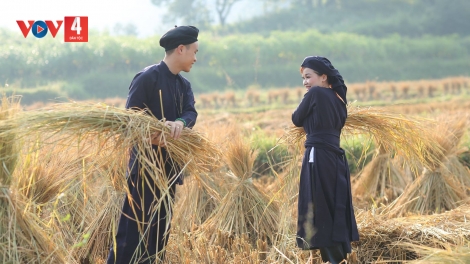 PỈ NOỌNG TỈNH ĐÀI XÁU CHƯƠNG TRÌNH (Chủ nhật, vằn 12 bươn 10 pi 2025)