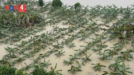 BOO NGÂN XANG ĐHÍ AMUÔT SỐ 11 BHRỢ NONG ĐHỘ COH BÂC VÊÊL ĐONG