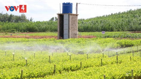 CHOH CRÂNG N’LOONG GA MĂC, PA DƯR RAU CHR’NĂP ÂNG N’LOONG VIỆT