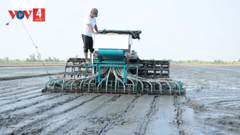 វាលស្រែឆ្លាតវៃ ធ្វើឲ្យផ្លាស់ប្ដូរទម្លាប់បង្កបង្កើនផលស្រូវនៅតំបន់ខាងលិចពីមួយថ្ងៃទៅមួយថ្ងៃ។