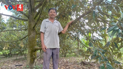 BHRỢ T’BHƯAH BH’RỢ BHƯƠN - A BỌC - C’ROL - CRÂNG PA DƯR PR’ĂT TR’MÔNG COH ZR’LỤ DA DING K’COONG ĐÀ NẴNG