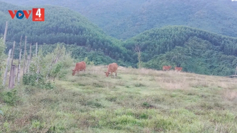 PA DƯR PR’ĂT TR’MUNG TƠỢ BH’RỢ B’BĂN, CH’CHOH