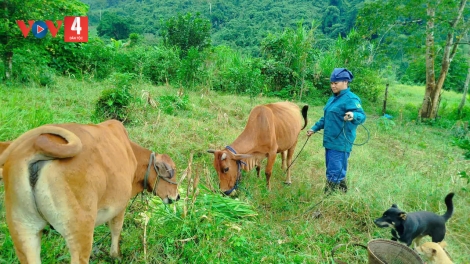 COOR CHÍN - PÂN ĐIL CƠ TU Z’LÂH K’ĐHAP BHRỢ CHA CA VAN