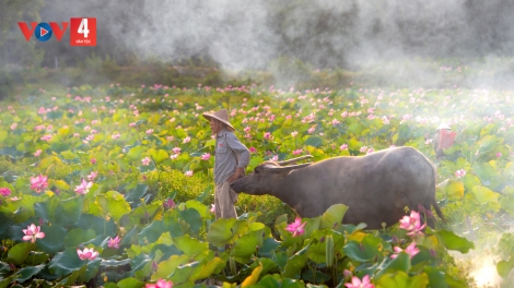 KHÚC DÂN CA XỨ QUẢNG