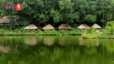 THÁI HẢI - VÊÊL BHƯƠL HẠNH PHÚC