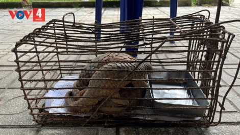 ĐHA NUÔR QUẢNG NGÃI PA ĐƠP ĐOỌNG 2 P’NONG XONG CROH