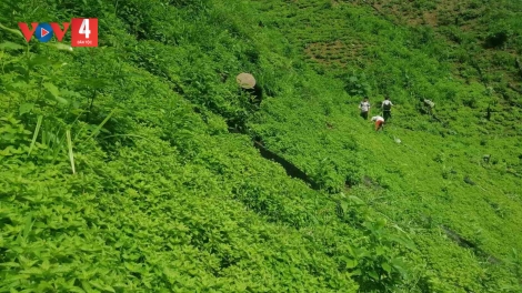 LƯỜNG FẨN CAO BẰNG: TỨ CO NHẢ TÁNG TỨN THÂNG PỀN THÌNH CÚA ĐĂM CHAY PÈNG QUỶ TẰNG NẶM MƯỜNG