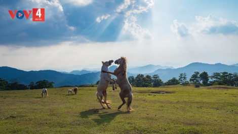 PỈ NOỌNG TỈNH ĐÀI XÁU CHƯƠNG TRÌNH (Chủ nhật, vằn 30 bươn 11 pi 2025)