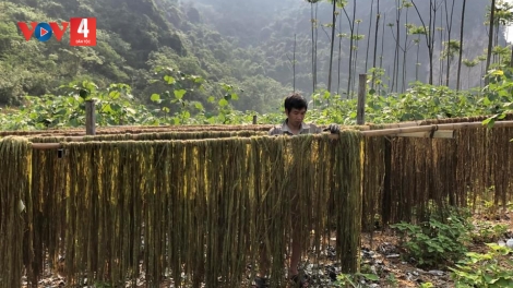 CO PÁN PANG HẨƯ PỈ NOỌNG DÚ CAO BẰNG MÌ THEM NGẦN CHÈN