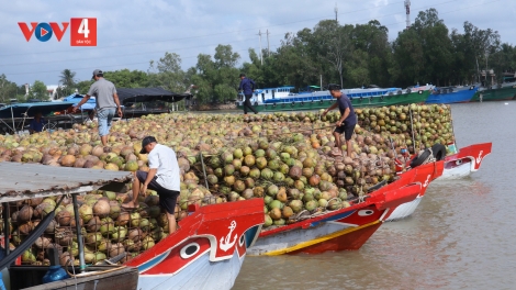 ពត៌មាន​ម៉ោង១៥