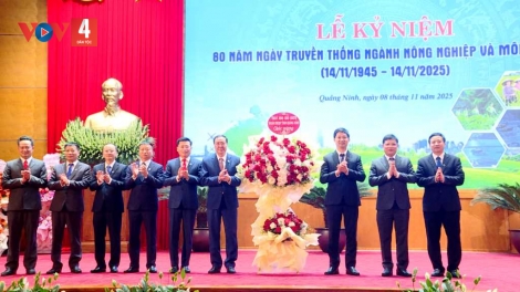 PẠNG NÔNG NGHIỆP XÁU MÔI TRƯỜNG QUẢNG NINH: 80 PI TỐI MẤƯ VẰN HẲM ĐÂY