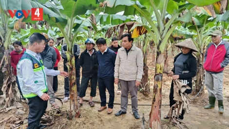 ZOOI ĐHA NUÔR HUẾ BHRỢ BHR’LÂ RÂU BIL BAL, PA DƯR CỚ BH’RỢ TR’NÊNG XANG BOO TUH