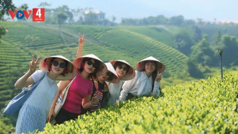 THÁI NGUYÊN TỐI MẤƯ SLE CO CHÈ PỀN TÀNG HẾT KIN ĐÂY