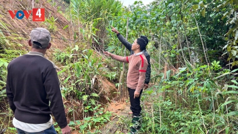 DA DING ĐĂN ĐHỊ ĐONG MUY CHA NĂC ĐHANUÔR COH CR’NOON BHLOÓC, CHR’VAL AVƯƠNG DƯR CR’ĐOOH GA MĂC BHLÂNG