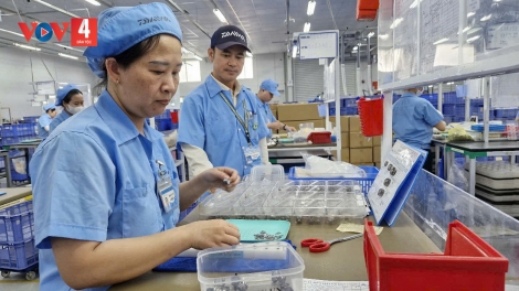 LUẬT VIỆC LÀM NĂM 2025, MỞ RỘNG ĐỐI TƯỢNG BẮT BUỘC THAM GIA BHTN TỪ NGÀY 01/01/2026