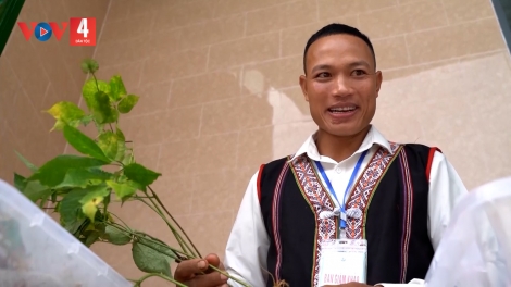 CHER TƠƠM M’MA ZA NƯƠU ĐOỌNG HA ĐHANUÔR CHOH BHRỢ