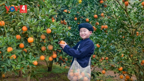 TÌNH NGHĨA NẮC NA (Hát Then Tày)