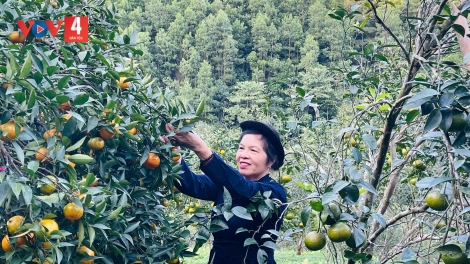 CHƯƠNG TRÌNH KHAY HENG TÀY - NÙNG (Thứ 4, vằn 24 bươn 12 bươn 2025)