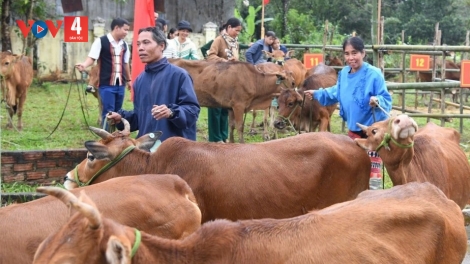 QUÂN KHU 5 CHER ĐOỌNG 200 P’NONG K’ROOC M’MA R’RƯAH ZOOI ĐOỌNG PR’ĂT TR’MUNG HA ĐHANUÔR CHR’VAL DA DING K’COONG NAM GIANG