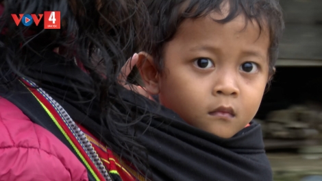 HÂU TU CHOOM DƯR VAIH CƠNH ĐÂU?