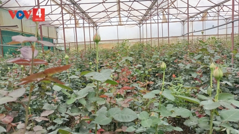 LANG BIANG: CHOH TƠỢ ABHOO, HA ROO PA TƯỚC PÔ HỒNG